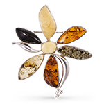 Броши Броши